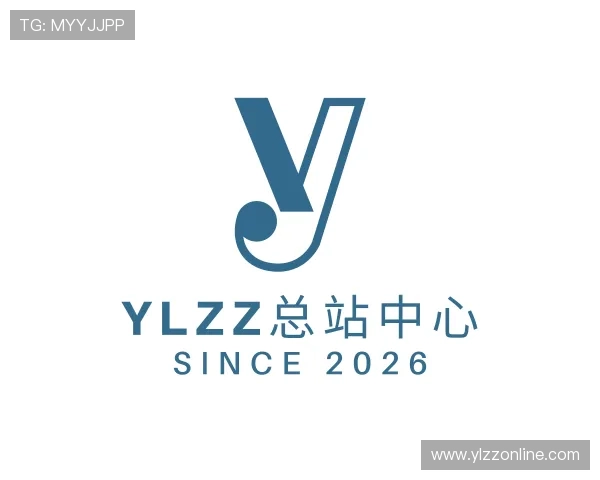 介绍YLZZ总站中心